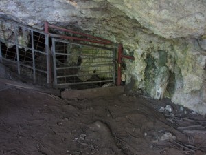 Devil's Lair Cave, Yallingup. Courtesy of SWALSC