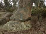 Boot Rock, Broomehill. Courtesy SWALSC