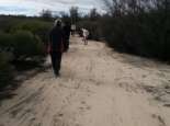 Bush walk at Badjaling with Noongar Elders