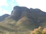 Mula Beelya - Bluff-Knoll. Courtsy SWALSC