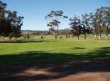 Walebing Reserve, Moora. Courtesy SWALSC