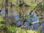 Derbarl Yiragan (Swan River), Perth. Courtesy SWALSC