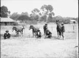 Stockmen, 1920\'s. Courtesy State Library of Western Australia, The Battye Library 532B/14 