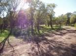 Noongar booja, Moora Reserve, Moora. Courtesy SWALSC