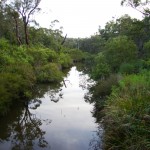 Beeliar (River). Courtesy SWALSC