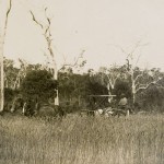 Narrogin Share Farm, c.1928. Courtesy State Library of Western Australia, The Battye Library 211024PD